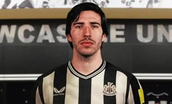 纽卡斯尔或因欧冠资格出售托纳利 曼联成最大买